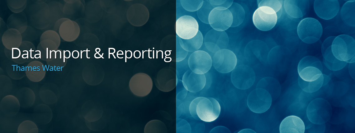 Data Import & Reporting Specialists